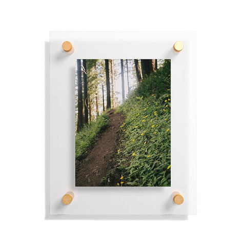 Hannah Kemp Dandelion Path Floating Acrylic Print