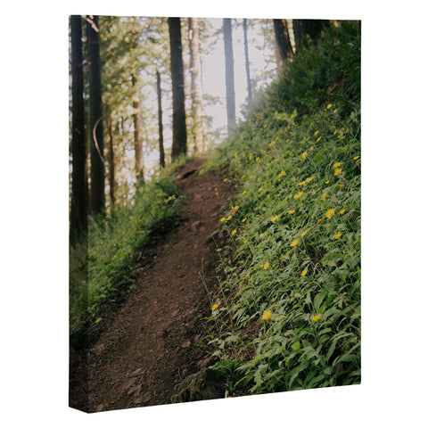 Hannah Kemp Dandelion Path Art Canvas