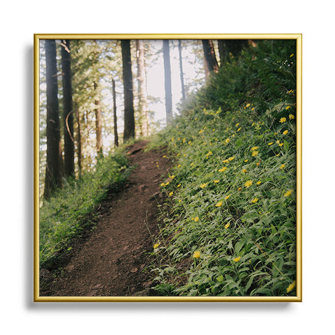 Hannah Kemp Dandelion Path Square Metal Framed Art Print