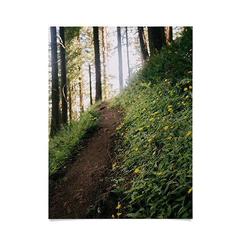 Hannah Kemp Dandelion Path Poster