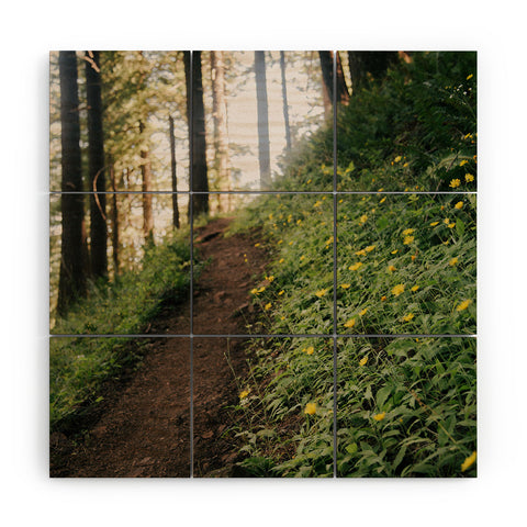 Hannah Kemp Dandelion Path Wood Wall Mural