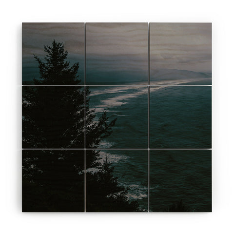 Hannah Kemp Dark Moody Coast Wood Wall Mural