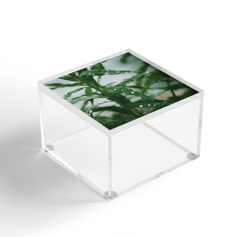 Hannah Kemp Dew Acrylic Box