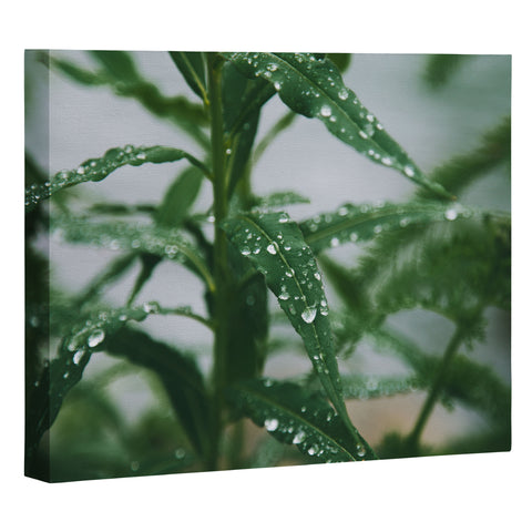 Hannah Kemp Dew Art Canvas