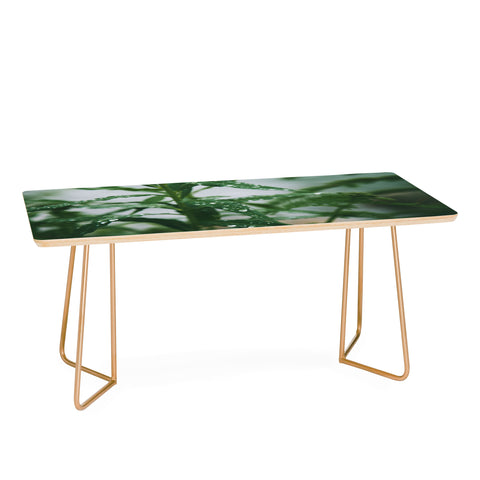 Hannah Kemp Dew Coffee Table