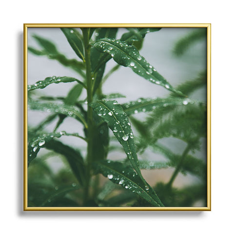 Hannah Kemp Dew Square Metal Framed Art Print