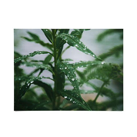 Hannah Kemp Dew Poster