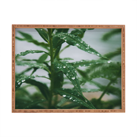 Hannah Kemp Dew Rectangular Tray