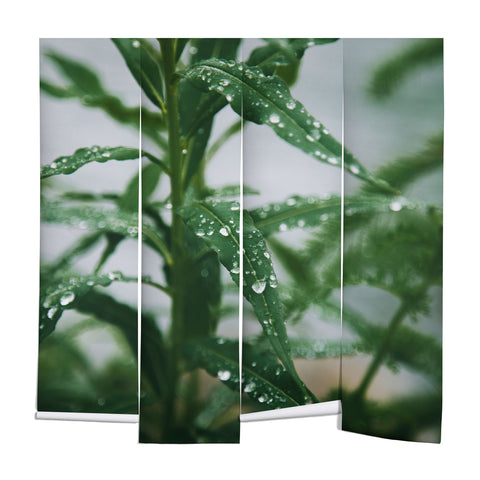 Hannah Kemp Dew Wall Mural