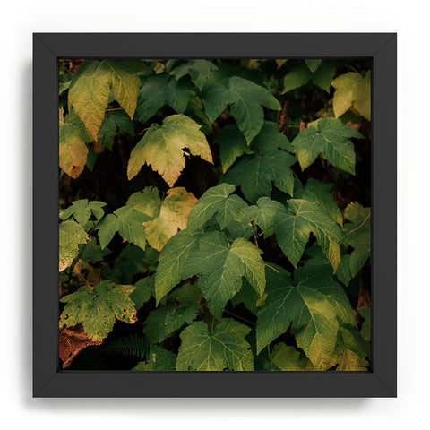 Hannah Kemp Early Foliage Recessed Framing Square