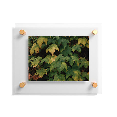 Hannah Kemp Early Foliage Floating Acrylic Print