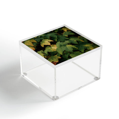 Hannah Kemp Early Foliage Acrylic Box