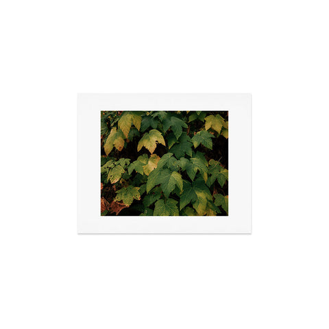 Hannah Kemp Early Foliage Art Print