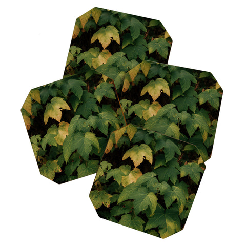 Hannah Kemp Early Foliage Coaster Set