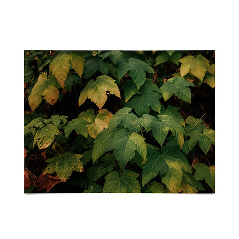 Hannah Kemp Early Foliage Poster