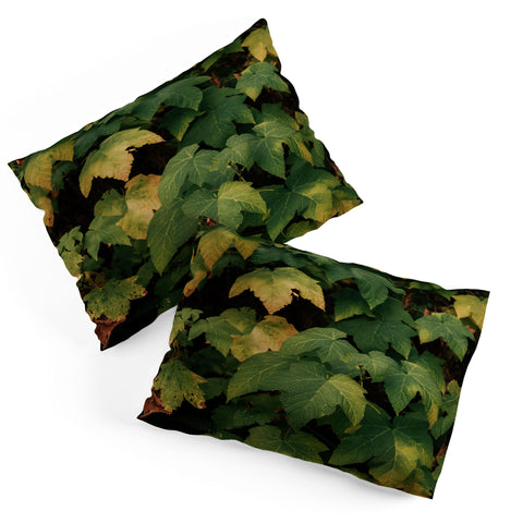 Hannah Kemp Early Foliage Pillow Shams
