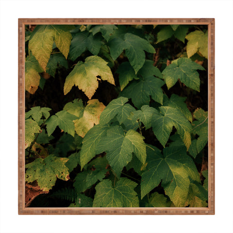 Hannah Kemp Early Foliage Square Tray