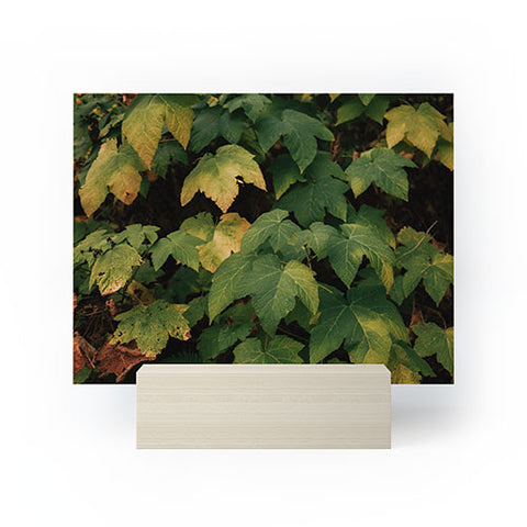 Hannah Kemp Early Foliage Mini Art Print