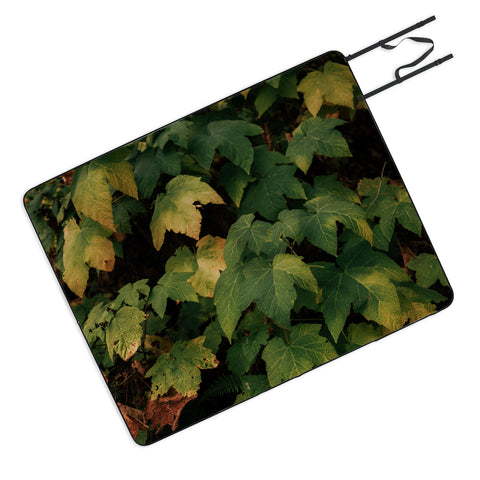 Hannah Kemp Early Foliage Picnic Blanket
