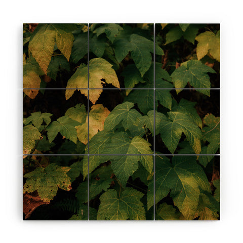 Hannah Kemp Early Foliage Wood Wall Mural