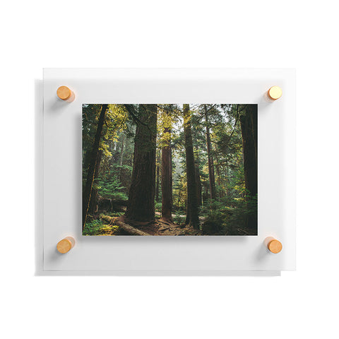 Hannah Kemp Echoes of the Forest Floating Acrylic Print