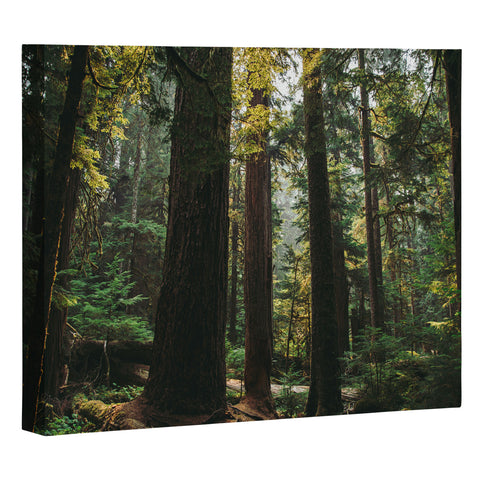 Hannah Kemp Echoes of the Forest Art Canvas
