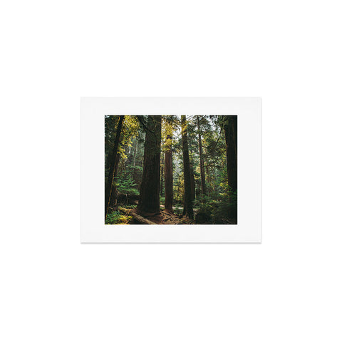Hannah Kemp Echoes of the Forest Art Print