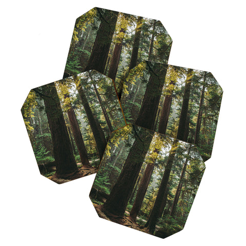 Hannah Kemp Echoes of the Forest Coaster Set