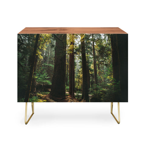 Hannah Kemp Echoes of the Forest Credenza