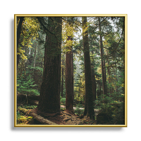 Hannah Kemp Echoes of the Forest Square Metal Framed Art Print