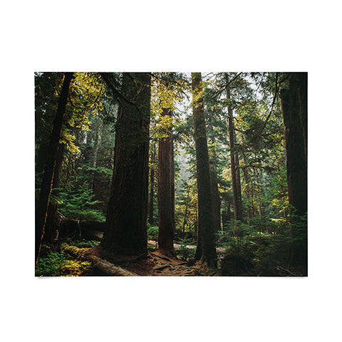 Hannah Kemp Echoes of the Forest Poster