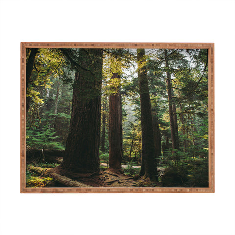 Hannah Kemp Echoes of the Forest Rectangular Tray