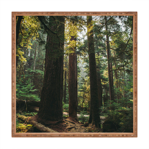 Hannah Kemp Echoes of the Forest Square Tray