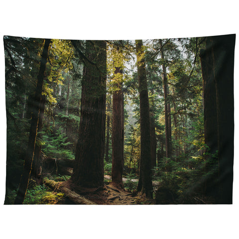 Hannah Kemp Echoes of the Forest Tapestry