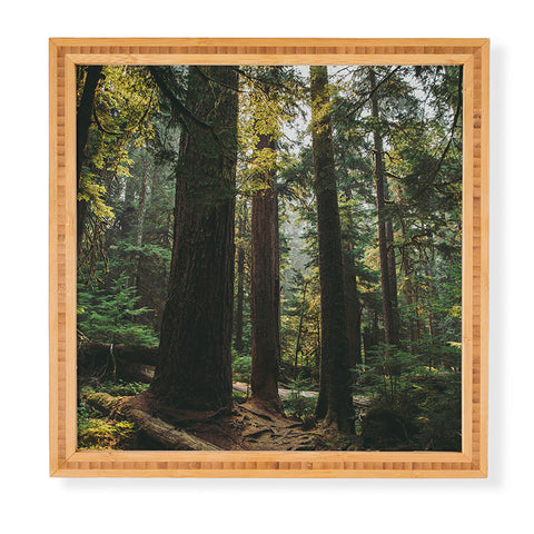 Hannah Kemp Echoes of the Forest Framed Wall Art