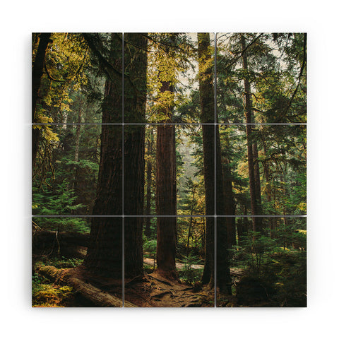 Hannah Kemp Echoes of the Forest Wood Wall Mural