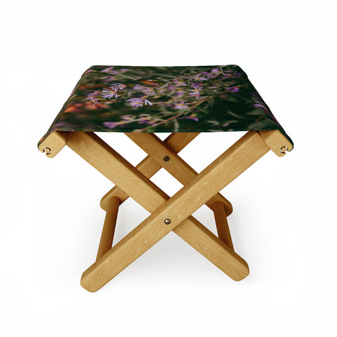 Hannah Kemp Eucephalus Ledophyllus Folding Stool