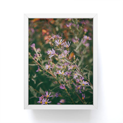 Hannah Kemp Eucephalus Ledophyllus Framed Mini Art Print