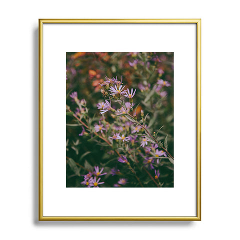 Hannah Kemp Eucephalus Ledophyllus Metal Framed Art Print