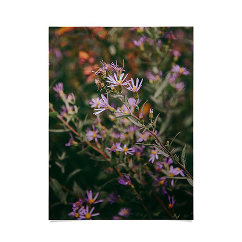 Hannah Kemp Eucephalus Ledophyllus Poster