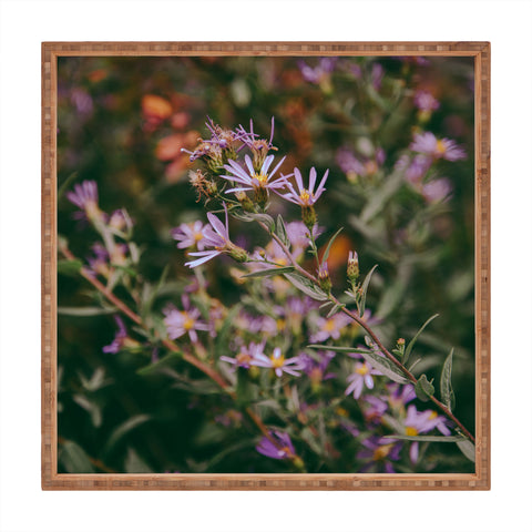 Hannah Kemp Eucephalus Ledophyllus Square Tray