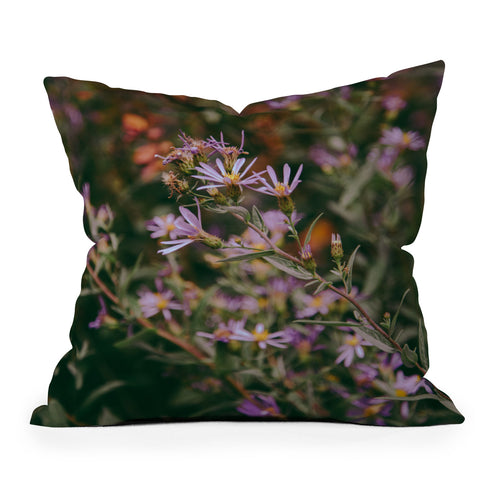 Hannah Kemp Eucephalus Ledophyllus Throw Pillow