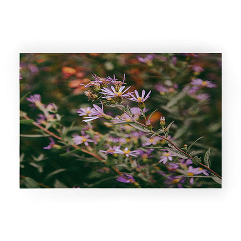 Hannah Kemp Eucephalus Ledophyllus Welcome Mat