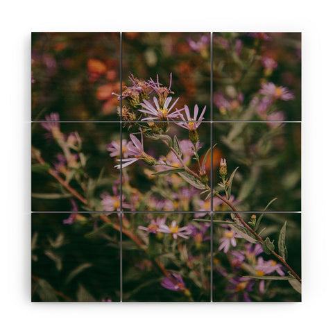 Hannah Kemp Eucephalus Ledophyllus Wood Wall Mural