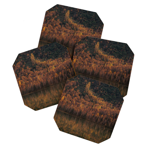 Hannah Kemp Fall Lake Coaster Set
