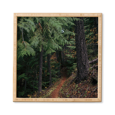 Hannah Kemp Fall Trail Framed Wall Art