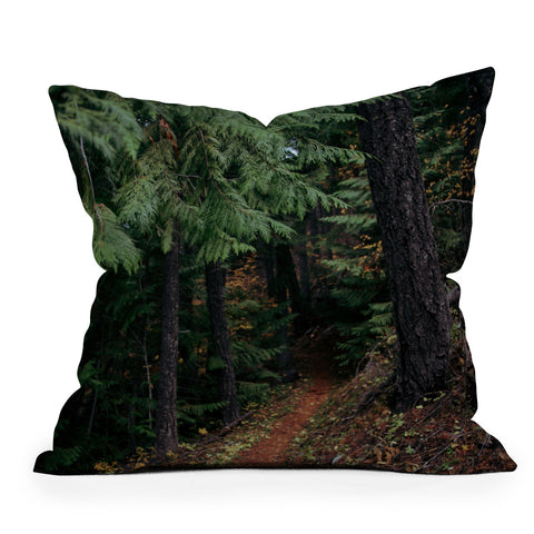 Hannah Kemp Fall Trail Outdoor Throw Pillow
