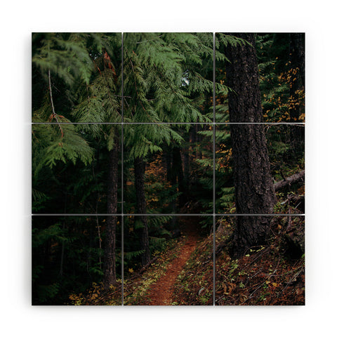 Hannah Kemp Fall Trail Wood Wall Mural