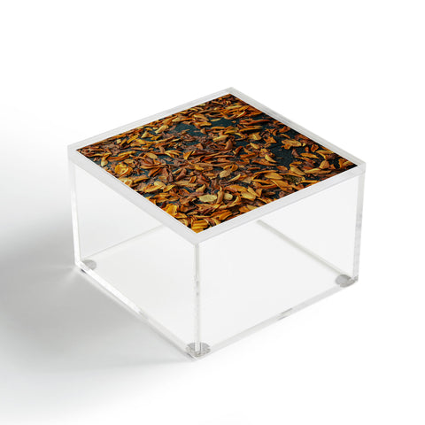 Hannah Kemp Fallen Down Acrylic Box