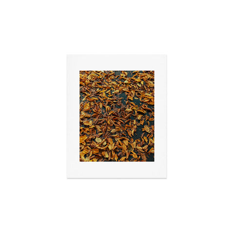 Hannah Kemp Fallen Down Art Print